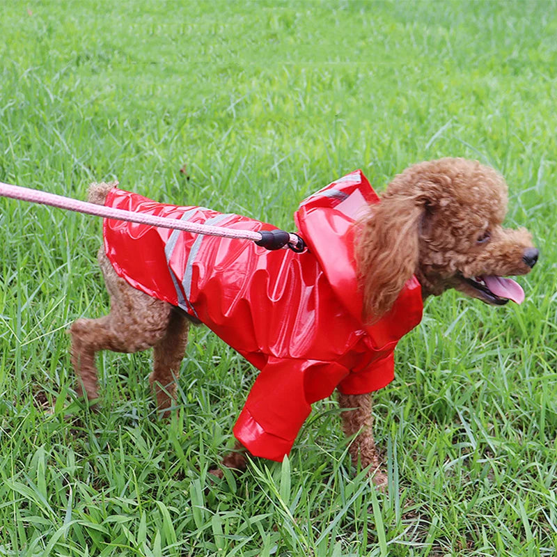 CAPA DE CHUVA PARA CACHORRO